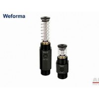 WEFORMA減震器技術參數(shù)