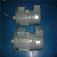 專業(yè)銷售石油、化工和天然氣工業(yè)電機-VEM