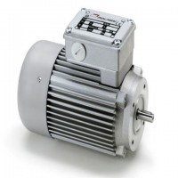 意大利Minimotor進(jìn)口電動機渦輪蝸桿馬達(dá)驅(qū)動器無刷電機清潔產(chǎn)品