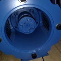 Pompetravaini液環(huán)真空泵TRH 32-20石化 、制藥 、食品領(lǐng)域