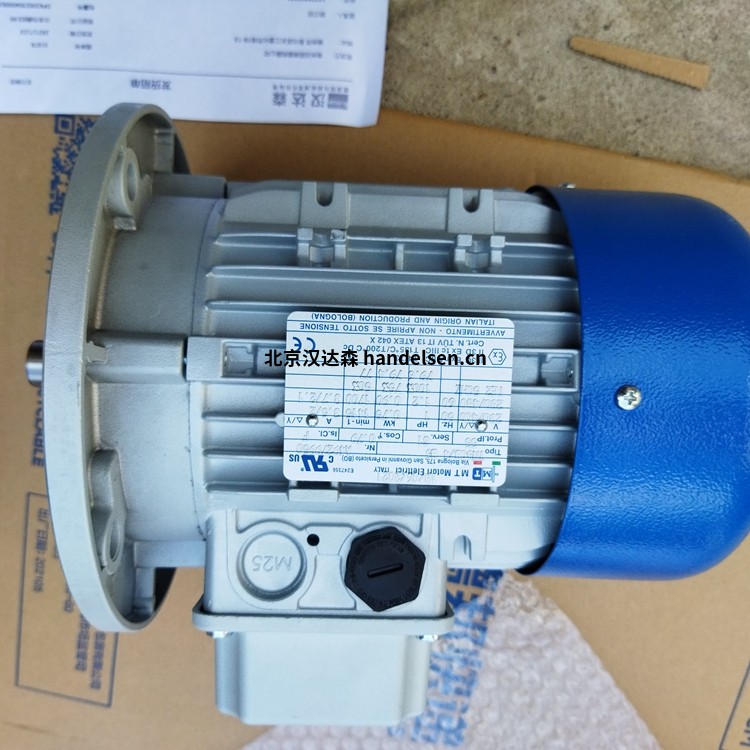 意大利MT Motori 電動(dòng)機(jī)TN 80 B4 3TH優(yōu)勢(shì)報(bào)價(jià)