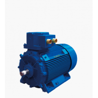 Marelli Motori 是電機和發(fā)電機的領(lǐng)先制造商，適用于多種工業(yè)領(lǐng)域