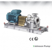 Johnson Pump 重型流程泵，適合化工/石化工業(yè)、煉油廠和一般工業(yè)應(yīng)用