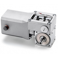 Mini Motor 蝸輪蝸桿直流減速電機(jī)BC2000-24MP，永磁直流電，全封閉
