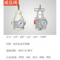 Sitecna 減壓閥，為廣泛的應(yīng)用提供了極好的調(diào)節(jié)，堅(jiān)固和腐蝕