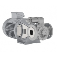 Johnson Pump 內(nèi)嚙合齒輪泵，適用于中等粘度、清潔和非磨蝕性液體