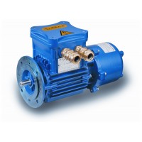 德國(guó) Cemp AB70r200LB4B5 高功率電機(jī)通過(guò) ATEX 和 IECEx 認(rèn)證