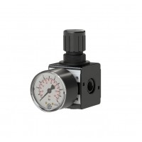 Riegler壓力調(diào)節(jié)器 R11-3，尺寸1，G 1/4,0.1 - 3 bar屬于可逆隔膜壓力調(diào)節(jié)器